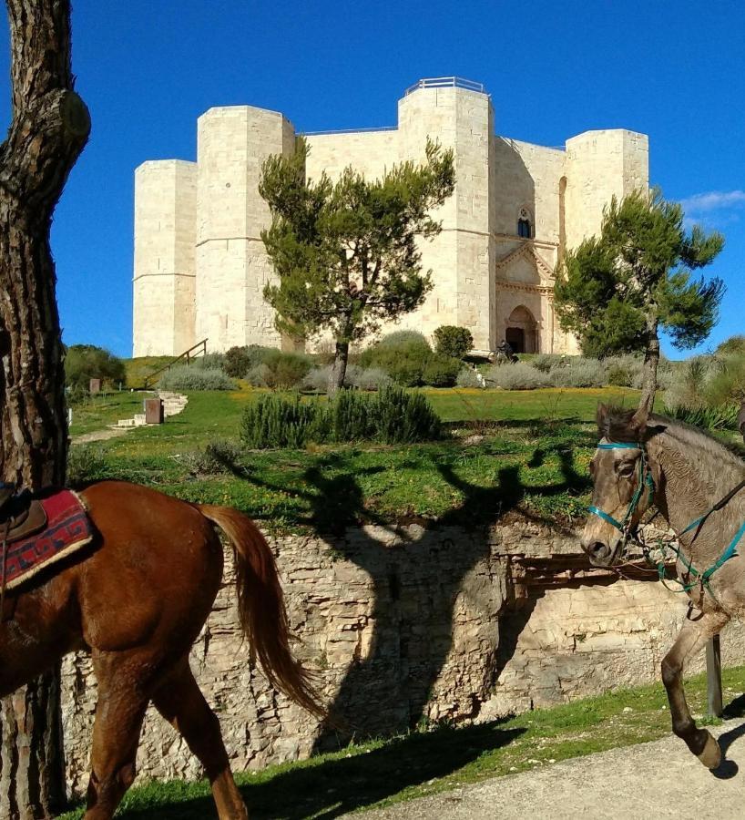 Casa Vacanza Dei Greci Barletta Bagian luar foto